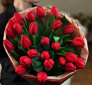Купить тюльпаны в Екатеринбурге — Букет из 25 красных тюльпанов