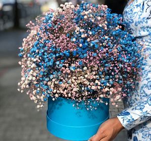 Купить букет из гипсофил — Цветы в коробке Баттерфляй