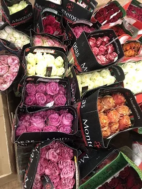 роза эквадор 50 см сортовая, сборная коробка