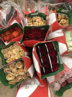 роза эквадор 50 см микс, второй вариант наполнения