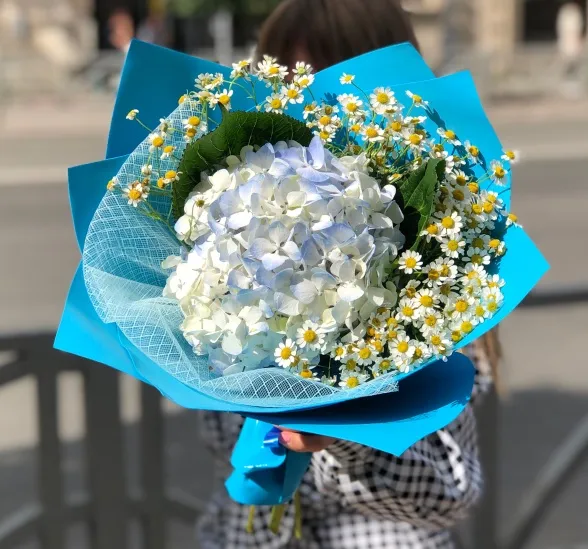 Букет цветов небесная синева (Гидрангея Голандия и Матрекария) | Картинка №1