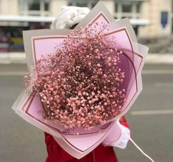 Букет цветов милой принцессе (Гипсофила крашенная и Упаковка для цветов) | Картинка №1