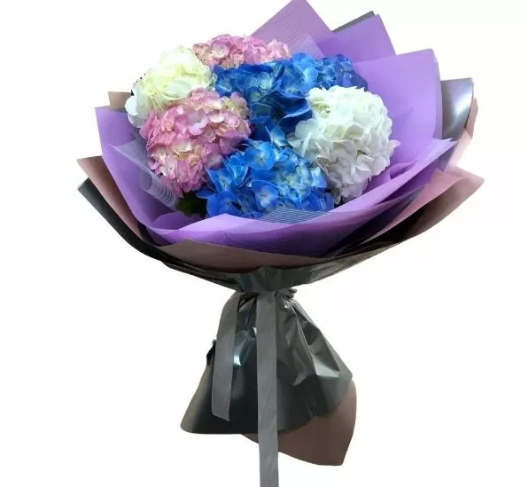 Букет цветов 7 гортензий (Гидрангея Голандия и Упаковка для цветов) | Картинка №3