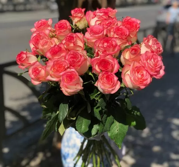 Букет цветов 25 высоких розовых роз (Роза Россия 70см Джумилия по Акции и Лента атласная) | Картинка №1