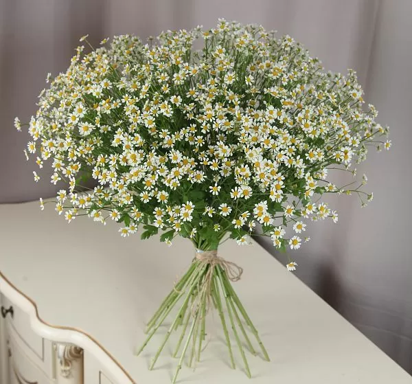 Букет цветов 25 ромашек (Матрекария и ) | Картинка №2