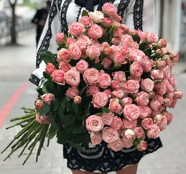 Букет цветов 25 роз бомбастик (Роза кустовая  60-70см и ) | Картинка №3