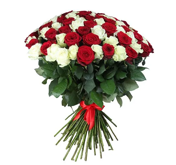 Букет цветов 101 высокая красная и белая роза (Роза Россия 70см Рэд Наоми по Акции и Роза Россия 70см по Акции) | Картинка №3