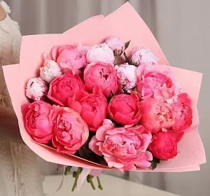 Букет из розовых цветов — 21 пион