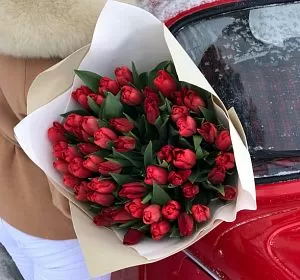 Букет из красных цветов — 51 красный тюльпан