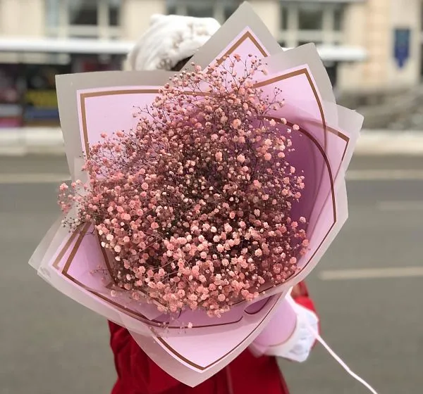 Букет цветов милой принцессе (Гипсофила крашенная и Упаковка для цветов) | Картинка №2