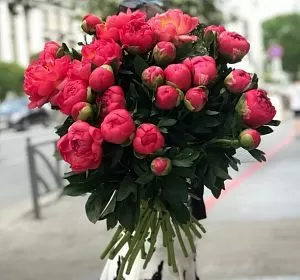 Букет из розовых цветов — 25 пионов
