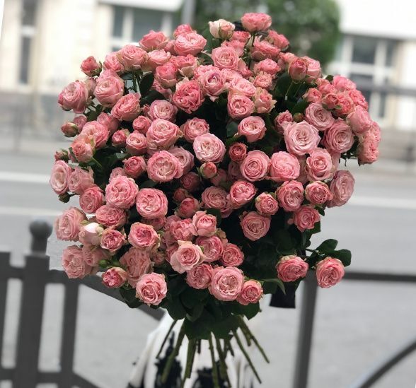 Букет цветов 25 роз бомбастик (Роза кустовая пионовидная и ) | Картинка
