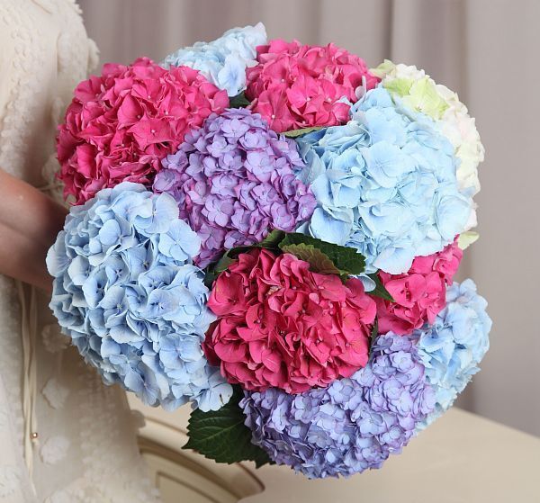 Букет цветов 11 гортензий (Гидрангея 50-60 см и ) | Картинка