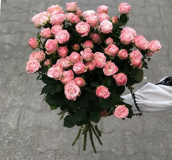 Букет цветов 9 роз бомбастик  (Роза кустовая пионовидная и ) | Картинка