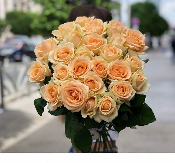 Букет цветов 25 кремовых роз (Роза Россия 50 см Цветная по Акции и Упаковка для цветов) | Картинка