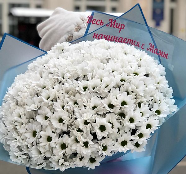 Букет цветов ромашки для мамочки (Хризантема кустовая по Акции и Наклейка с текстом формат А5) | Картинка №2