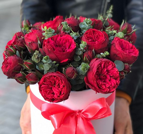 Коробка из пионовидных роз коробка с цветами ред пиано (Роза кустовая  70-80см и Эвкалипт) | Картинка №2