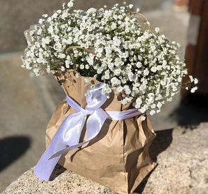 Цветы в пакете — Нежный сюрприз