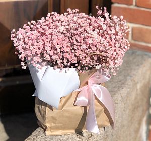 Цветы в пакете — Розовый сон