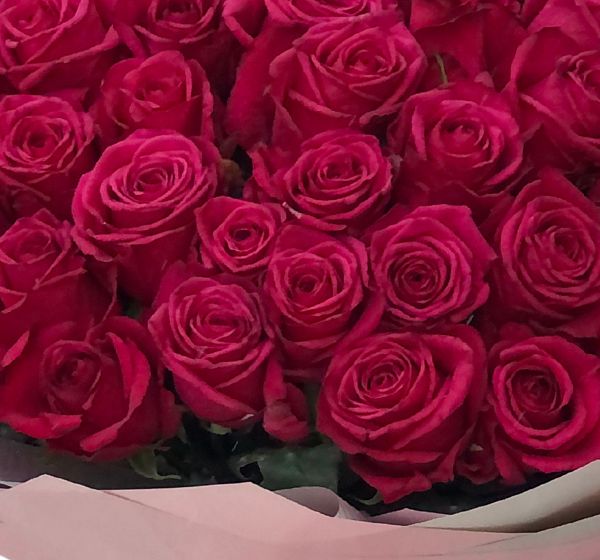Букет цветов малиновый бархат (Роза Россия 50 см Цветная по Акции и Упаковка для цветов) | Картинка №4