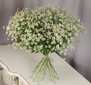 Букет из белых цветов — 25 ромашек