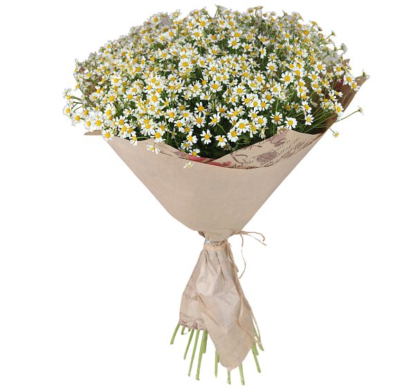 Букет цветов 25 ромашек (Матрекария и ) | Картинка №4