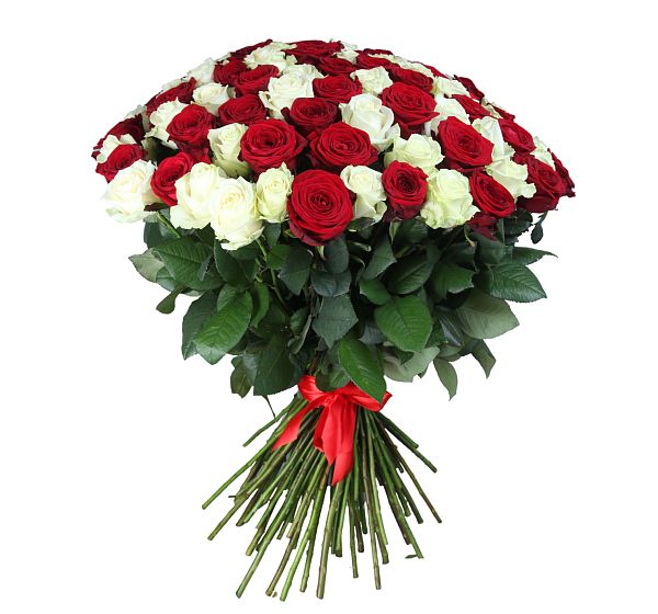 Букет 101 высокая красная и белая роза  №3