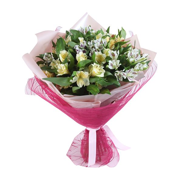 Букет цветов 11 альстромерий (Альстромерия и Упаковка для цветов) | Картинка №5