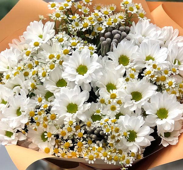 Букет цветов белоснежка (Хризантема кустовая и Матрекария) | Картинка №4