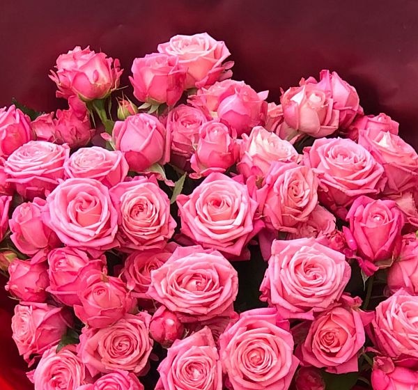 Букет цветов самой красивой (Роза кустовая  60-70 см и Упаковка для цветов) | Картинка №4