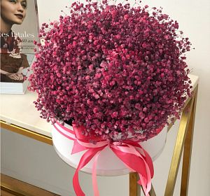 Цветы в шляпной коробке — Розовая перина