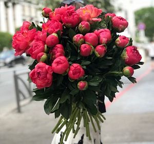 Букет из розовых цветов — 25 пионов